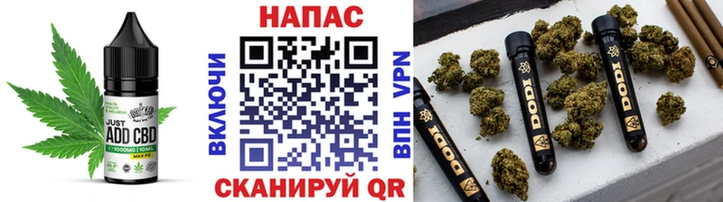 Cannafood конопля продажа наркотиков Дигора