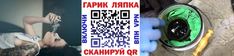 мега ТОР  продажа наркотиков  Дигора  Гашиш индика сатива 