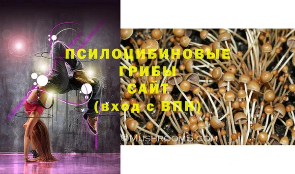 бошки Балахна