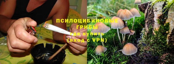 бошки Балахна