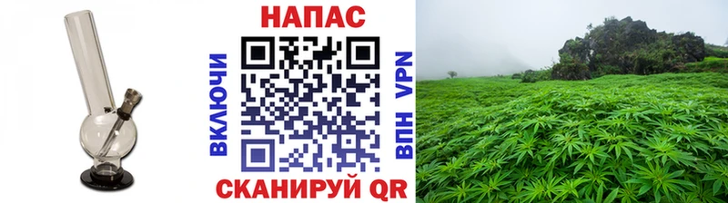 цены наркотик  Дигора  Шишки марихуана индика 